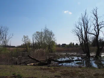 Kalkense Meersen (België)